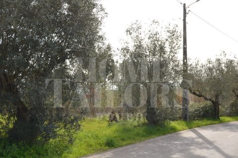 Tomt i Anadia, Aveiro, Anadia - € 55 000 | Ref: HT7021 - foto 10
