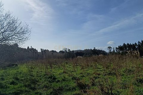 Helårsgrund i Oliveira do Bairro, Aveiro, Oliveira do Bairro - € 15.000 | Ref: C0385-00848 - foto 2