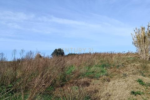 Helårsgrund i Oliveira do Bairro, Aveiro, Oliveira do Bairro - € 15.000 | Ref: C0385-00848 - foto 4