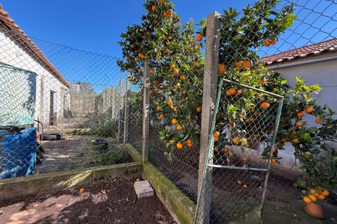Villa i Caldas da Rainha, Leiria, Caldas da Rainha - € 540.000 | Ref: MMP2895 - foto 32