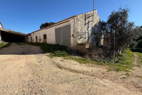 Villa i Caldas da Rainha, Leiria, Caldas da Rainha - € 540.000 | Ref: MMP2895 - foto 34