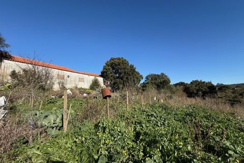 Villa i Caldas da Rainha, Leiria, Caldas da Rainha - € 540.000 | Ref: MMP2895 - foto 35
