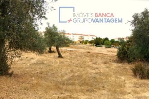 Helårsgrund i Serpa, Beja, Serpa - € 230.000 | Ref: T-25470 - foto 2