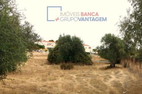 Terra a Serpa, Beja, Serpa - € 230.000 | Ref: T-25470 - foto 5