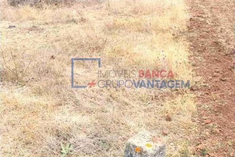 Terra a Serpa, Beja, Serpa - € 230.000 | Ref: T-25470 - foto 11