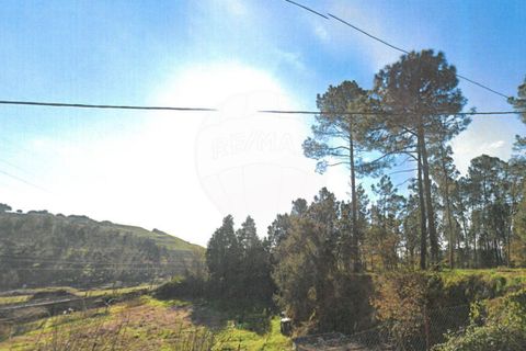 Helårsgrund i Maia, Porto, Maia - € 650.000 | Ref: T-27171 - foto 4