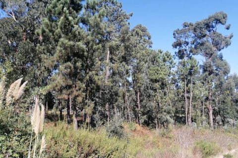 Helårsgrund i Maia, Porto, Maia - € 650.000 | Ref: T-27171 - foto 6