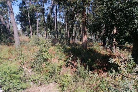 Helårsgrund i Maia, Porto, Maia - € 650.000 | Ref: T-27171 - foto 13