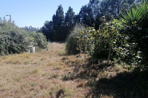 Helårsgrund i Maia, Porto, Maia - € 650.000 | Ref: T-27171 - foto 14
