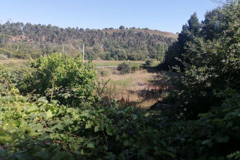 Helårsgrund i Maia, Porto, Maia - € 650.000 | Ref: T-27171 - foto 15