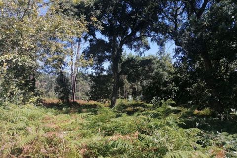 Helårsgrund i Maia, Porto, Maia - € 650.000 | Ref: T-27171 - foto 19