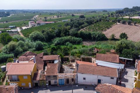 Rækkehus i Cantanhede, Coimbra, Cantanhede - € 43.000 | Ref: M-27212 - foto 15