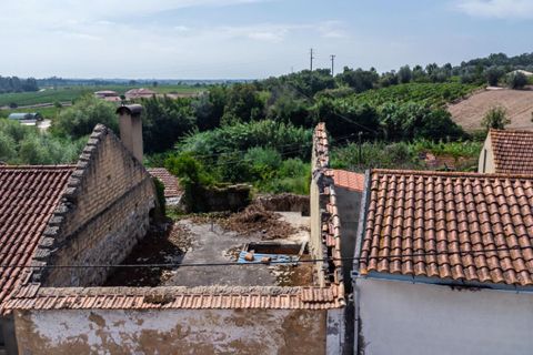 Rækkehus i Cantanhede, Coimbra, Cantanhede - € 43.000 | Ref: M-27212 - foto 17