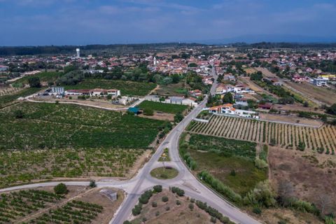 Rækkehus i Cantanhede, Coimbra, Cantanhede - € 43.000 | Ref: M-27212 - foto 25