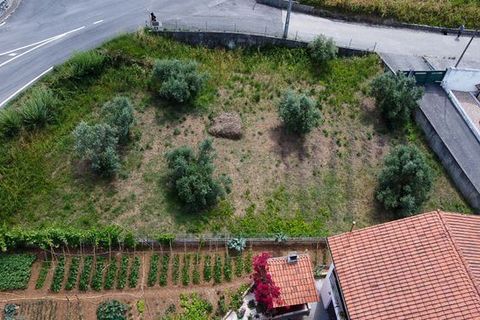 Helårsgrund i Coimbra, Coimbra, Coimbra - € 60.000 | Ref: T-27335 - foto 7
