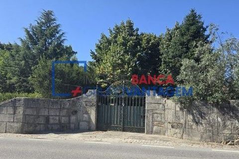Landejendom i Mangualde, Viseu, Mangualde - € 481.000 | Ref: Q-27411 - foto 1