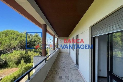 Landejendom i Mangualde, Viseu, Mangualde - € 481.000 | Ref: Q-27411 - foto 2