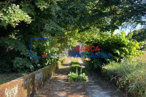 Landejendom i Mangualde, Viseu, Mangualde - € 481.000 | Ref: Q-27411 - foto 3