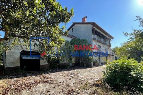 Landejendom i Mangualde, Viseu, Mangualde - € 481.000 | Ref: Q-27411 - foto 4