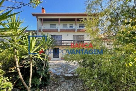 Landejendom i Mangualde, Viseu, Mangualde - € 481.000 | Ref: Q-27411 - foto 5