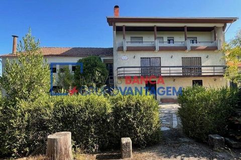 Landejendom i Mangualde, Viseu, Mangualde - € 481.000 | Ref: Q-27411 - foto 6