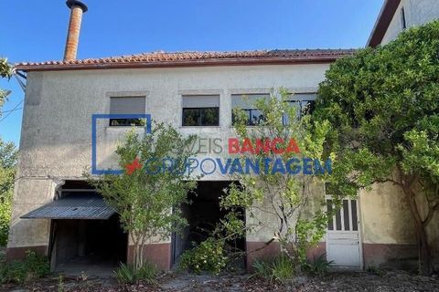 Landejendom i Mangualde, Viseu, Mangualde - € 481.000 | Ref: Q-27411 - foto 7