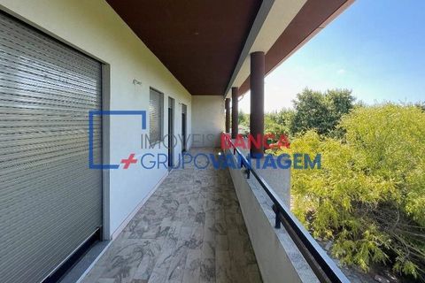 Landejendom i Mangualde, Viseu, Mangualde - € 481.000 | Ref: Q-27411 - foto 8