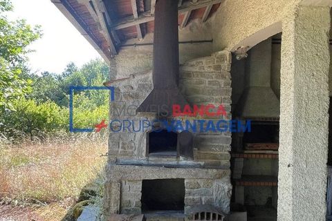 Landejendom i Mangualde, Viseu, Mangualde - € 481.000 | Ref: Q-27411 - foto 9
