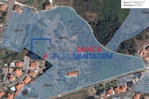 Landejendom i Mangualde, Viseu, Mangualde - € 481.000 | Ref: Q-27411 - foto 10