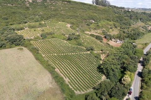 Helårsgrund i Sobral de Monte Agraco, Lisbon, Sobral de Monte Agraco - € 125.000 | Ref: T-27836 - foto 3