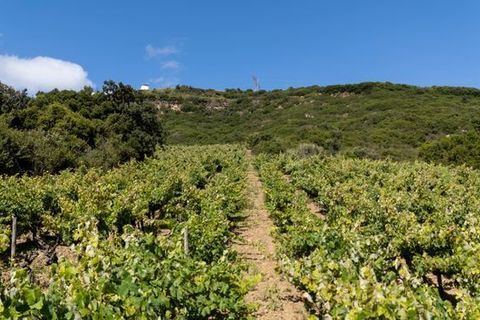 Helårsgrund i Sobral de Monte Agraco, Lisbon, Sobral de Monte Agraco - € 125.000 | Ref: T-27836 - foto 4