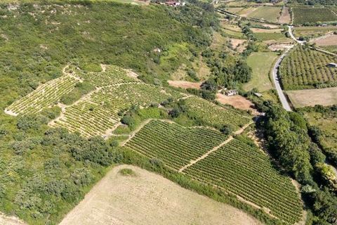 Helårsgrund i Sobral de Monte Agraco, Lisbon, Sobral de Monte Agraco - € 125.000 | Ref: T-27836 - foto 5
