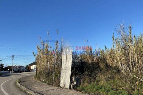 Helårsgrund i Coimbra, Coimbra, Coimbra - € 193.000 | Ref: T-28019 - foto 4