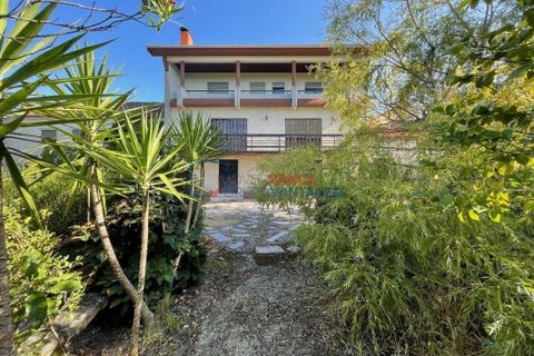 Farm i Mangualde, Viseu, Mangualde - € 481.000 | Ref: M-28074 - foto 2