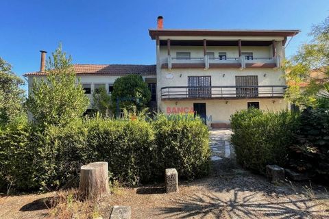Farm i Mangualde, Viseu, Mangualde - € 481.000 | Ref: M-28074 - foto 3