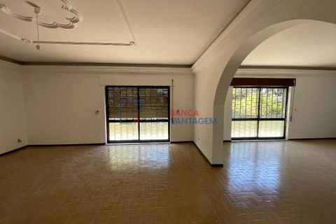 Farm i Mangualde, Viseu, Mangualde - € 481.000 | Ref: M-28074 - foto 14
