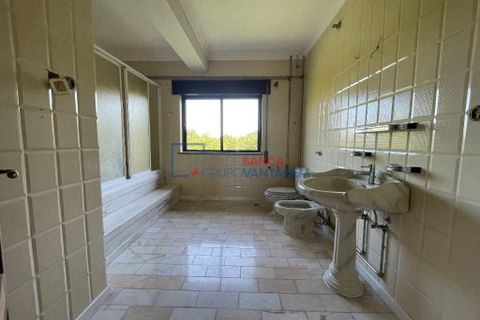 Farm i Mangualde, Viseu, Mangualde - € 481.000 | Ref: M-28074 - foto 20
