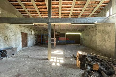 Farm i Mangualde, Viseu, Mangualde - € 481.000 | Ref: M-28074 - foto 25