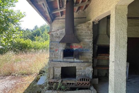 Farm i Mangualde, Viseu, Mangualde - € 481.000 | Ref: M-28074 - foto 27