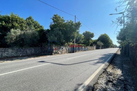 Farm i Mangualde, Viseu, Mangualde - € 481.000 | Ref: M-28074 - foto 29