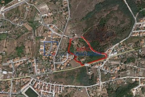 Farm i Mangualde, Viseu, Mangualde - € 481.000 | Ref: M-28074 - foto 30