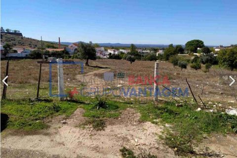 Terra a Estremoz, Evora, Estremoz - € 450.000 | Ref: T-28337 - foto 2