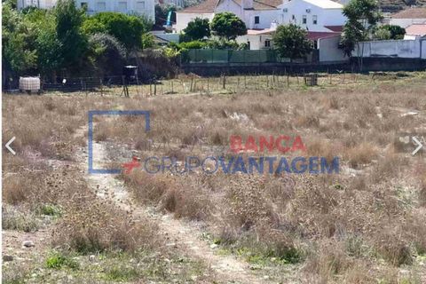 Terra a Estremoz, Evora, Estremoz - € 450.000 | Ref: T-28337 - foto 4
