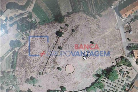 Terra a Estremoz, Evora, Estremoz - € 450.000 | Ref: T-28337 - foto 5