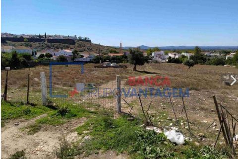Terra a Estremoz, Evora, Estremoz - € 450.000 | Ref: T-28337 - foto 6