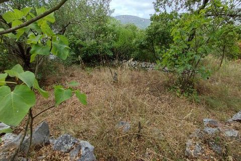 Terra a Alcanena, Santarem, Alcanena - € 35.000 | Ref: T-28403 - foto 2