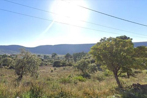 Terra a Alcanena, Santarem, Alcanena - € 35.000 | Ref: T-28403 - foto 3