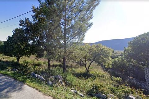 Terra a Alcanena, Santarem, Alcanena - € 35.000 | Ref: T-28403 - foto 4