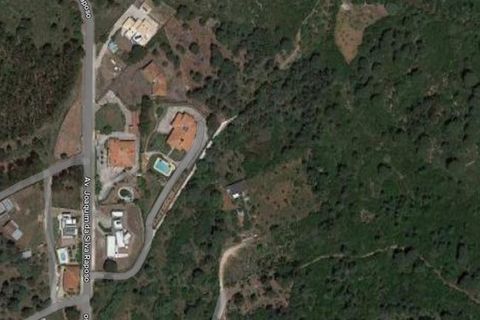 Terra a Alcanena, Santarem, Alcanena - € 20.000 | Ref: T-28406 - foto 2