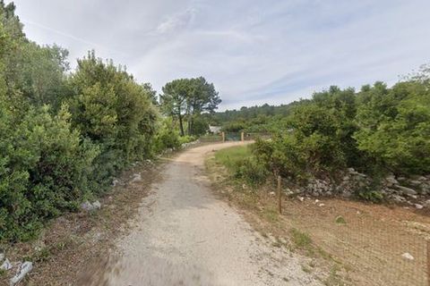 Terra a Alcanena, Santarem, Alcanena - € 20.000 | Ref: T-28406 - foto 3